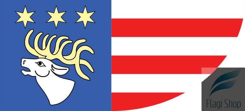 Ryki_County_Flag.svg.png