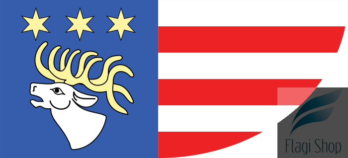 Ryki_County_Flag.svg.png