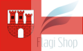 POL_gmina_Czudec_flag.png