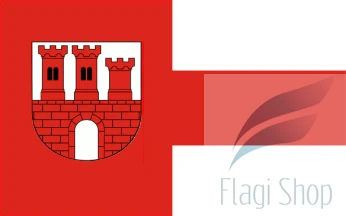 POL_gmina_Czudec_flag.png