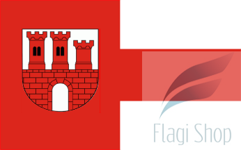 POL_gmina_Czudec_flag.png