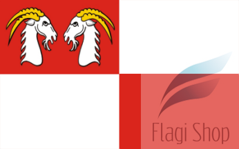 POL_gmina_Kozy_flag.png