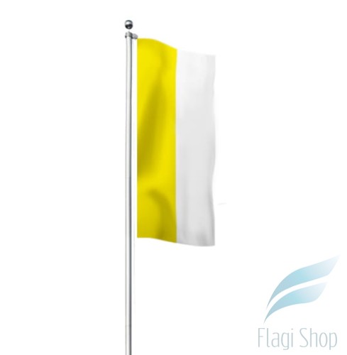 papieska  pionowy.jpg