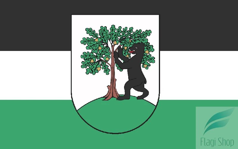 POL_Pełczyce_flag.png