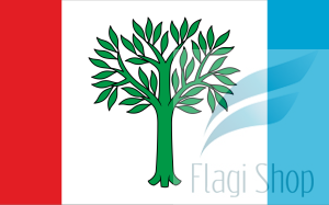 Flaga miasta Braniewo - na zamówienie 150x90 Braniewa   