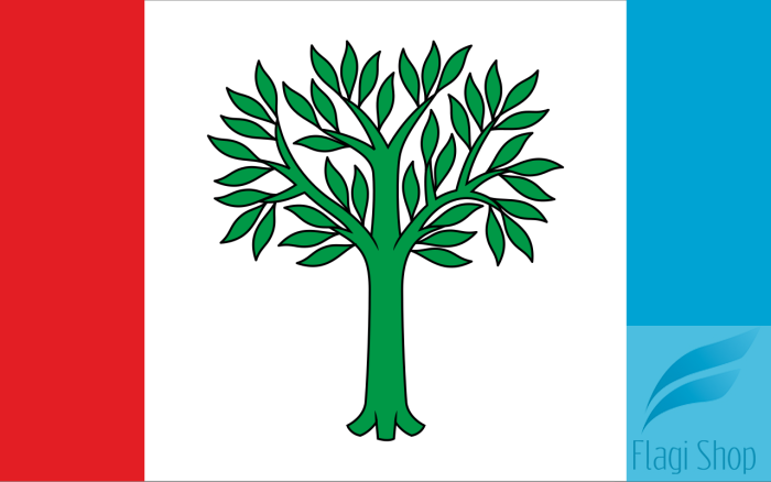 POL_Braniewo_flag.svg.png