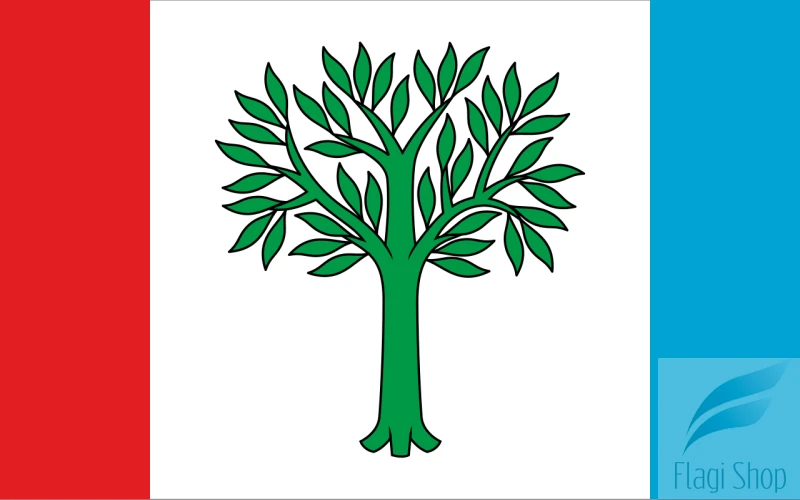 POL_Braniewo_flag.svg.png