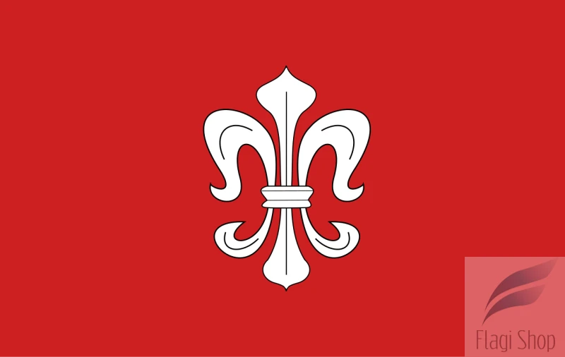 POL_gmina_Dąbrówno_flag.svg.png