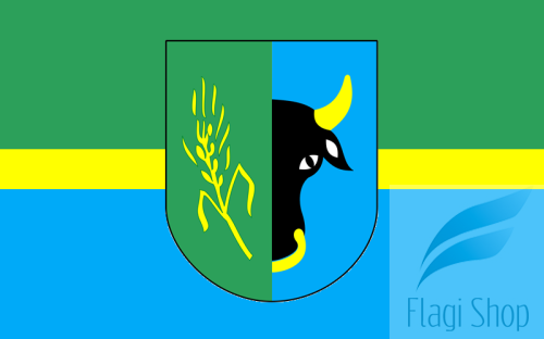 POL_gmina_Płoskinia_flag.png