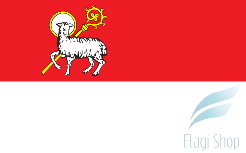 POL_Lidzbark_Warmiński_flag.svg.png