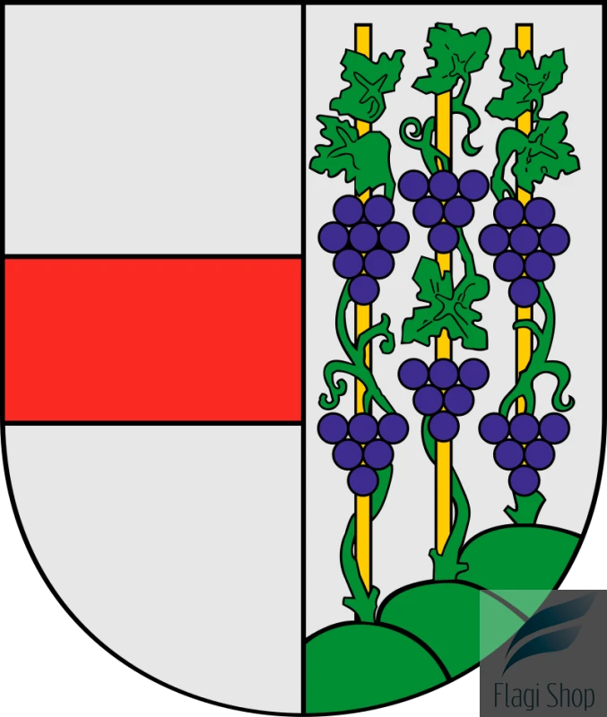 POL_Połczyn-Zdrój_COA.svg.png