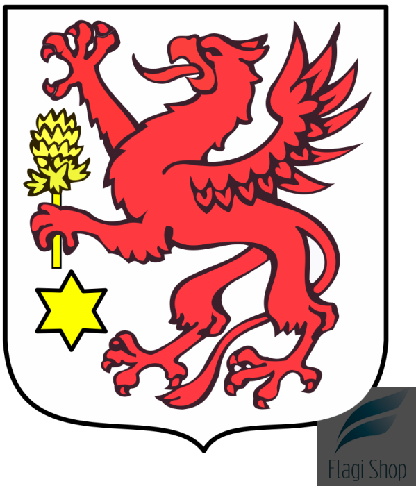 POL_Wolin_COA.svg.png