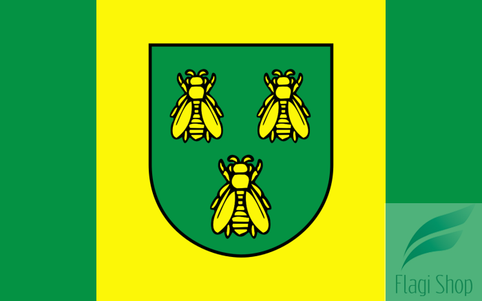 POL_gmina_Pszczółki_flag.svg.png