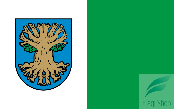 POL_gmina_Suchy_Dąb_flag.svg.png