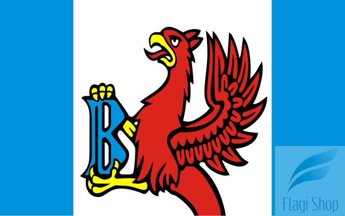 POL_gmina_Brusy_flag.svg.png