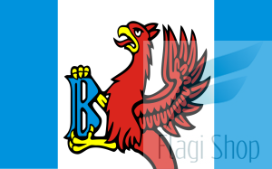 POL_gmina_Brusy_flag.svg.png