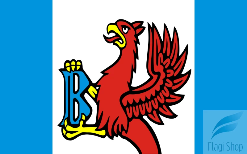 POL_gmina_Brusy_flag.svg.png