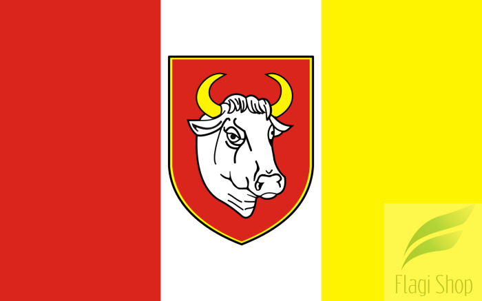 POL_Człuchów_flag.svg.png