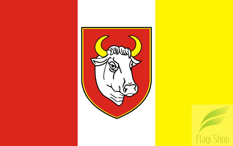 POL_Człuchów_flag.svg.png