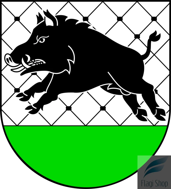 POL_Debrzno_COA.svg.png