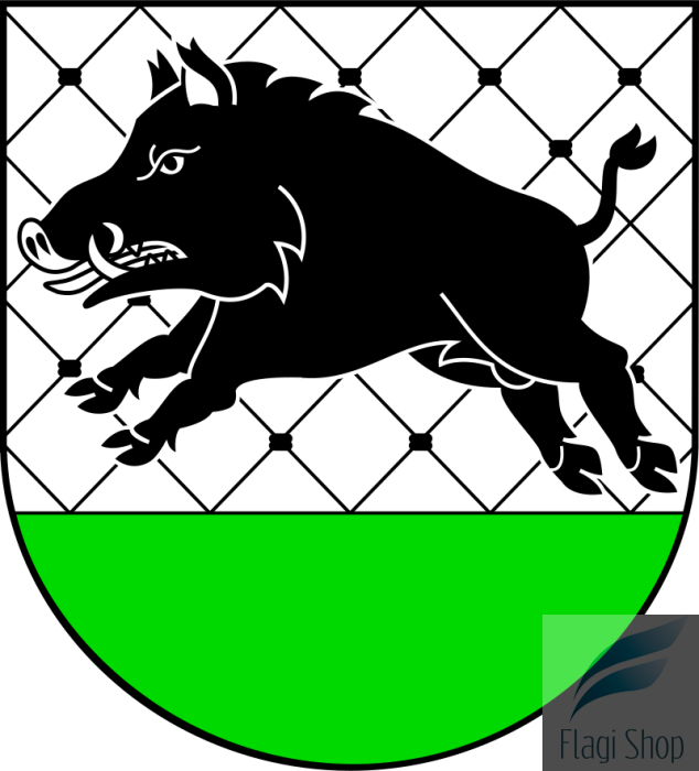 POL_Debrzno_COA.svg.png