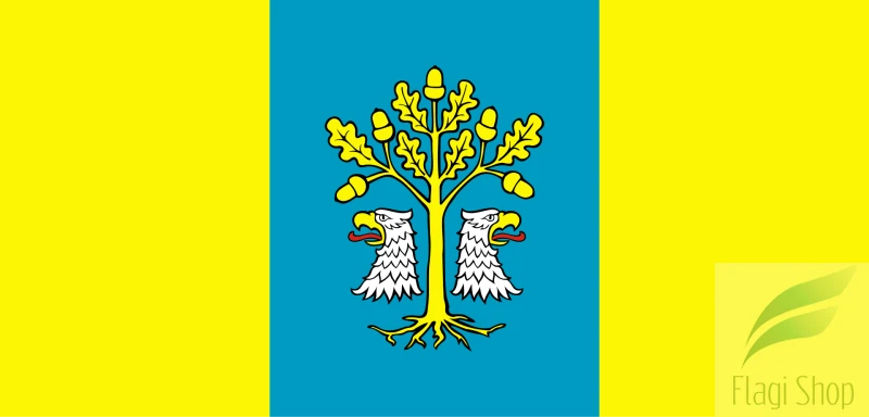 POL_gmina_Czarna_Dąbrówka_flag.svg.png