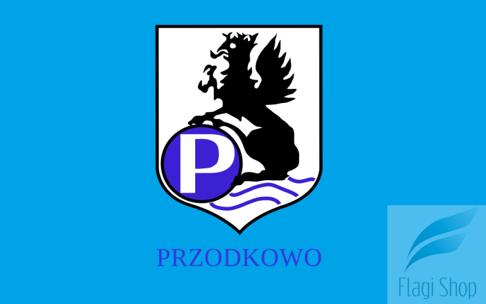 POL_gmina_Przodkowo_flag.svg.png