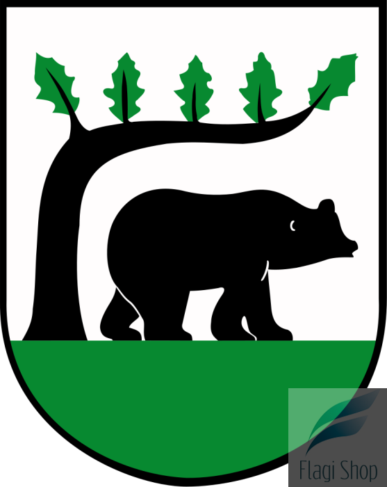 POL_Kościerzyna_COA.svg.png