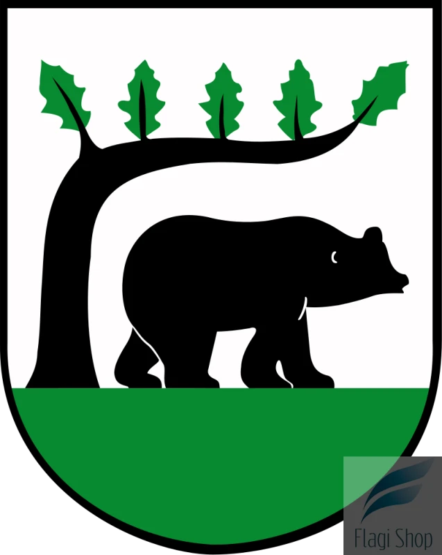POL_Kościerzyna_COA.svg.png