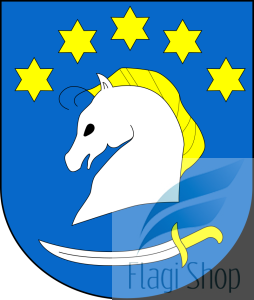 POL_gmina_Dziemiany_COA.svg.png