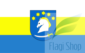 POL_gmina_Dziemiany_flag.svg.png