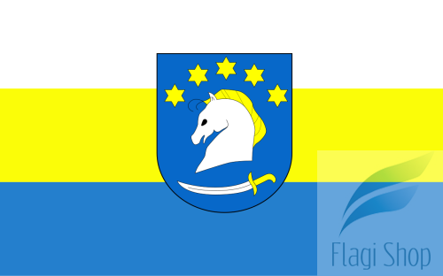 POL_gmina_Dziemiany_flag.svg.png