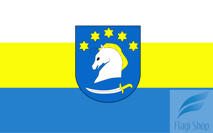 POL_gmina_Dziemiany_flag.svg.png