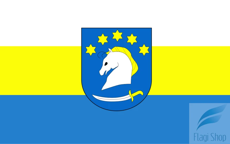POL_gmina_Dziemiany_flag.svg.png