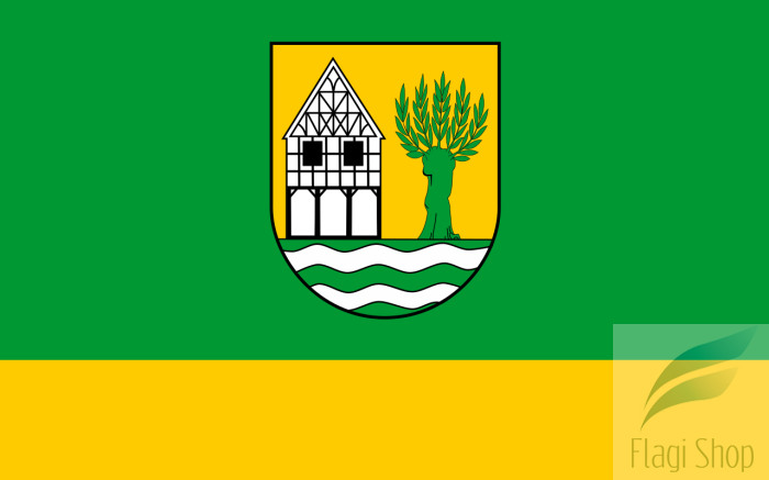 POL_gmina_Stare_Pole_flag.svg.png