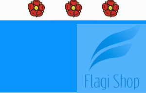 Flaga miasta NOWY DWÓR GDAŃSKI - na zamówienie 150x90 Nowego Dworu Gdańskiego