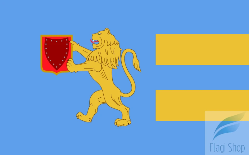 POL_gmina_Puck_flag.svg.png