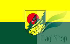 POL_gmina_Skórcz_flag.svg.png