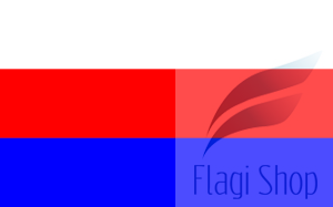 POL_gmina_Choczewo_flag.svg.png