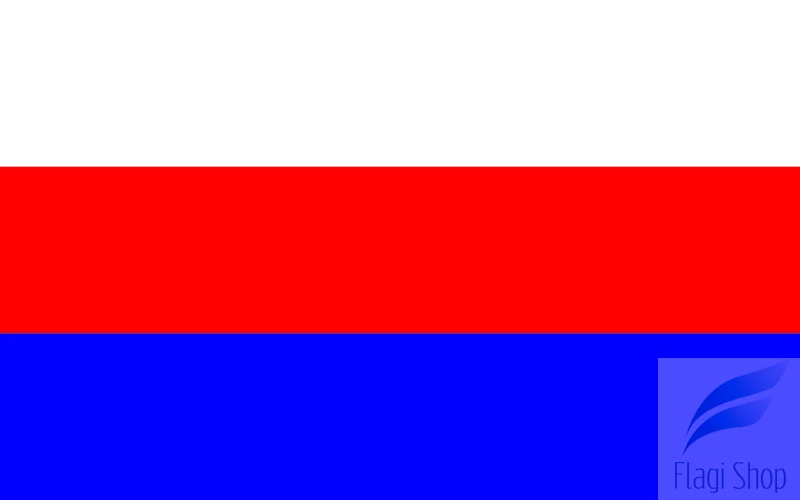 POL_gmina_Choczewo_flag.svg.png