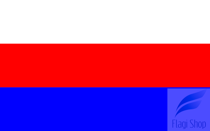 POL_gmina_Choczewo_flag.svg.png