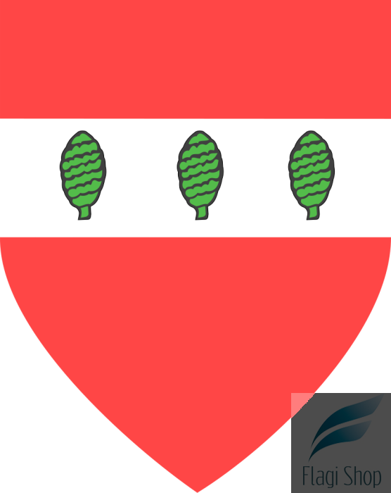 POL_powiat_sztumski_COA.svg.png