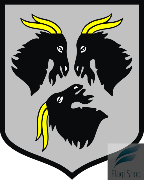 POL_Kędzierzyn-Koźle_COA.svg.png