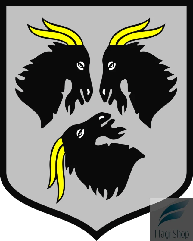 POL_Kędzierzyn-Koźle_COA.svg.png
