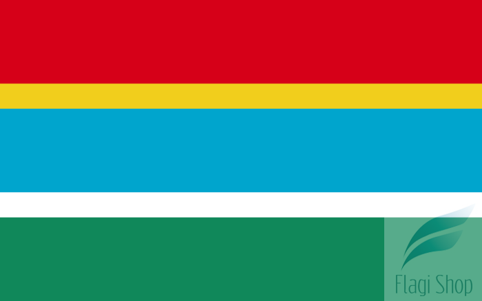 POL_gmina_Pawłowiczki_flag.svg.png