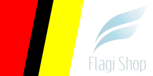 POL_Namysłów_flag.svg.png