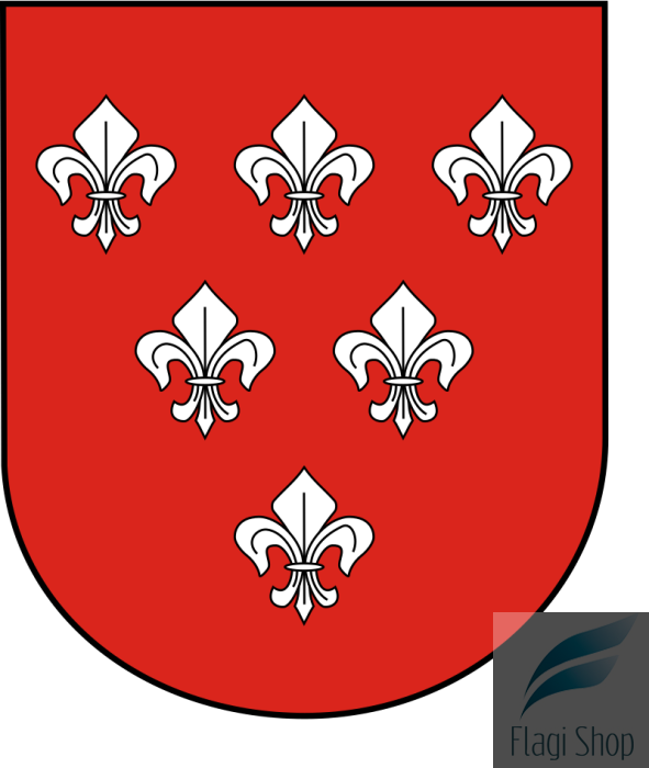 POL_Nysa_COA.svg.png