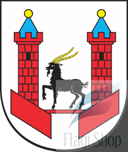 POL_Praszka_COA.svg.png
