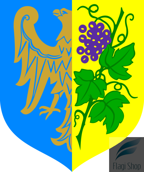 POL_Strzelce_Opolskie_COA.svg.png