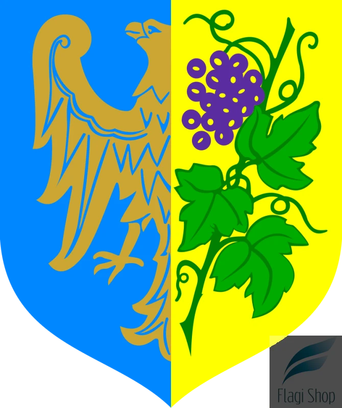 POL_Strzelce_Opolskie_COA.svg.png